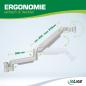 Preview: InLine® Slatwall Lifter Monitorhalterung, silber