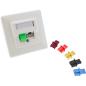 Preview: InLine® Staubschutz, für RJ45 Buchse, grün 100er Pack