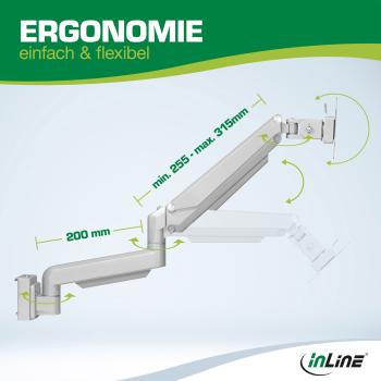 InLine® Slatwall Lifter Monitorhalterung, silber