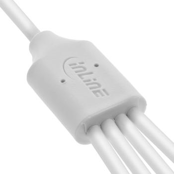 Preview: InLine® USB 4in1 Y-Ladekabel, 1x USB-A Stecker an 4x USB-C Stecker, weiß, 1m
