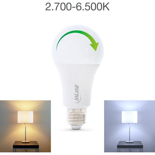 InLine® SmartHome LED Lampe RGB E27, 900LM
