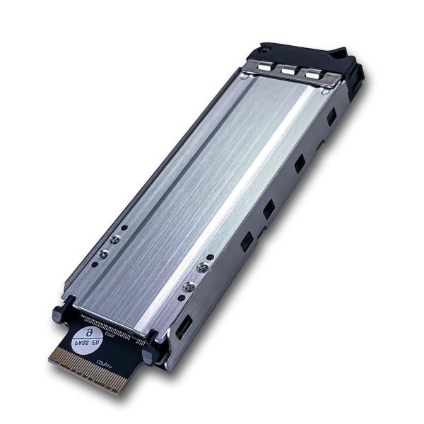 FANTEC NVMe PCIe-WL-TR-1 Einschub (für Adapter Karte 2522)